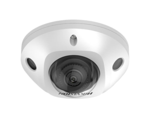 DS-2CD2543G2-IWS